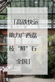 高铁快运助力广西荔枝“鲜”行全国