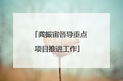 龚振宙督导重点项目推进工作