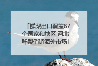 鲜梨出口覆盖67个国家和地区 河北鲜梨俏销海外市场