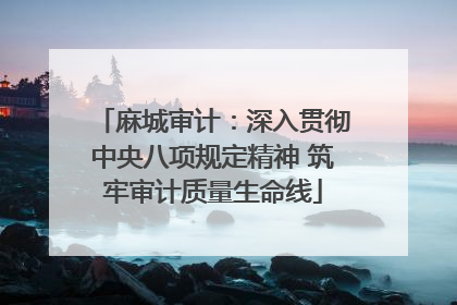 麻城审计：深入贯彻中央八项规定精神 筑牢审计质量生命线