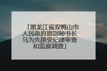 黑龙江省双鸭山市人民政府原副秘书长马为先接受纪律审查和监察调查