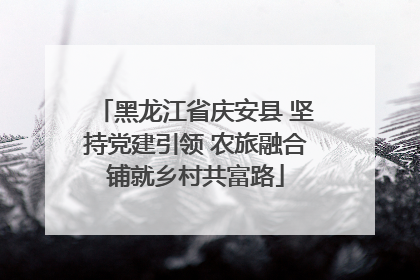黑龙江省庆安县 坚持党建引领 农旅融合铺就乡村共富路
