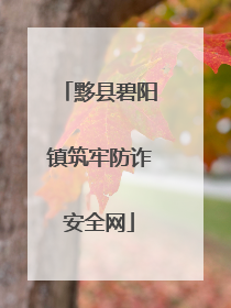 黟县碧阳镇筑牢防诈安全网