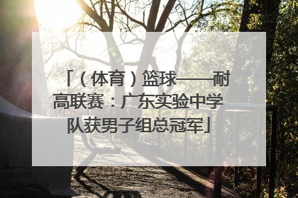 （体育）篮球——耐高联赛：广东实验中学队获男子组总冠军