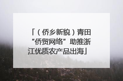 （侨乡新貌）青田“侨贸网络”助推浙江优质农产品出海