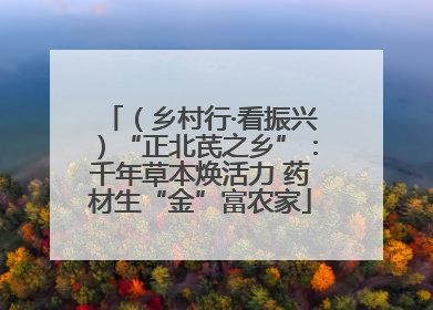 （乡村行·看振兴）“正北芪之乡”：千年草本焕活力 药材生“金”富农家