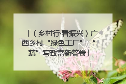 （乡村行·看振兴）广西乡村“绿色工厂” “蔬”写致富新答卷