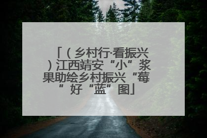 （乡村行·看振兴）江西靖安“小”浆果助绘乡村振兴“莓”好“蓝”图