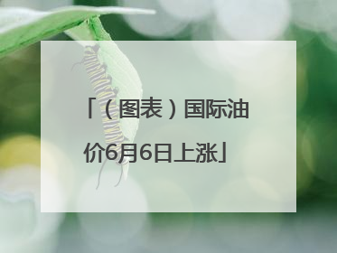（图表）国际油价6月6日上涨