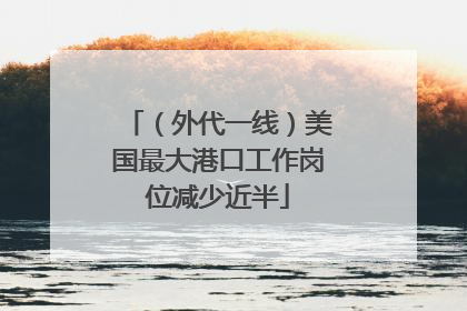 （外代一线）美国最大港口工作岗位减少近半