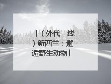 （外代一线）新西兰：邂逅野生动物