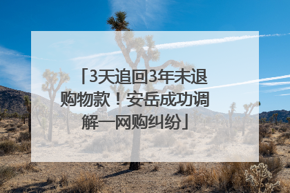 3天追回3年未退购物款！安岳成功调解一网购纠纷