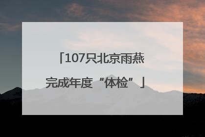 107只北京雨燕完成年度“体检”
