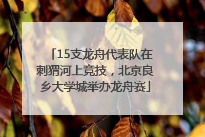 15支龙舟代表队在刺猬河上竞技，北京良乡大学城举办龙舟赛