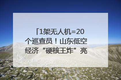 1架无人机=20个巡查员！山东低空经济“硬核王炸”亮相青岛，下一个万亿赛道藏在这里
