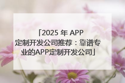 2025 年 APP 定制开发公司推荐：靠谱专业的APP定制开发公司
