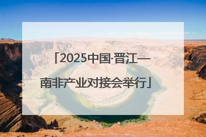 2025中国·晋江—南非产业对接会举行