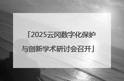 2025云冈数字化保护与创新学术研讨会召开