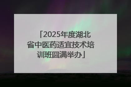 2025年度湖北省中医药适宜技术培训班圆满举办