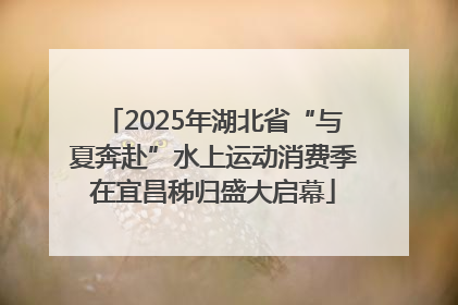 2025年湖北省“与夏奔赴”水上运动消费季在宜昌秭归盛大启幕