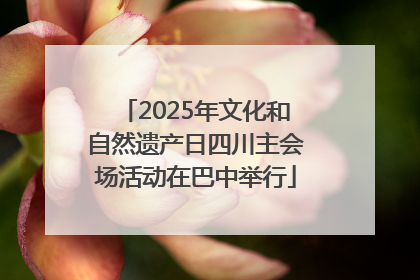 2025年文化和自然遗产日四川主会场活动在巴中举行