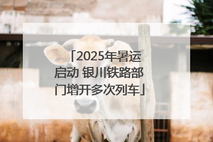 2025年暑运启动 银川铁路部门增开多次列车