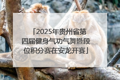2025年贵州省第四届健身气功气舞暨段位积分赛在安龙开赛
