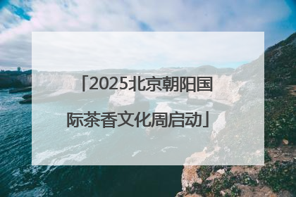 2025北京朝阳国际茶香文化周启动