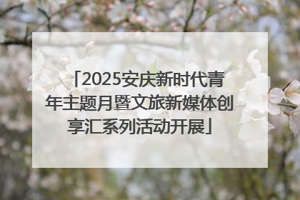 2025安庆新时代青年主题月暨文旅新媒体创享汇系列活动开展