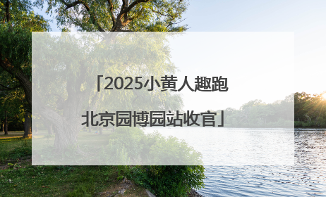 2025小黄人趣跑北京园博园站收官