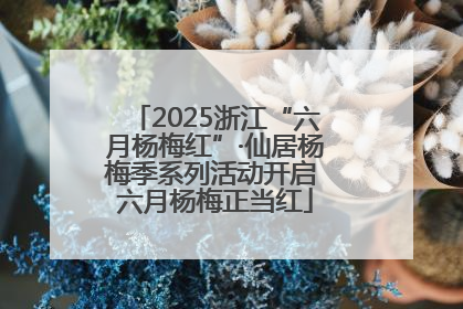 2025浙江“六月杨梅红”·仙居杨梅季系列活动开启 六月杨梅正当红