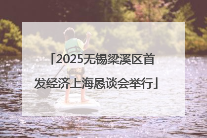 2025无锡梁溪区首发经济上海恳谈会举行