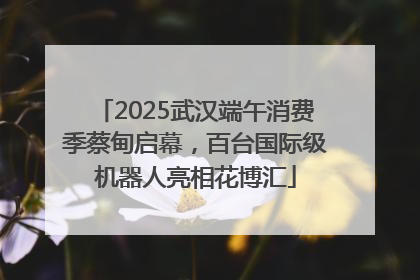 2025武汉端午消费季蔡甸启幕，百台国际级机器人亮相花博汇