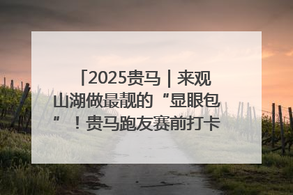 2025贵马｜来观山湖做最靓的“显眼包”！贵马跑友赛前打卡点燃奔跑热情
