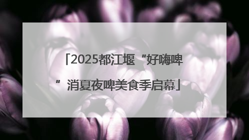 2025都江堰“好嗨啤”消夏夜啤美食季启幕