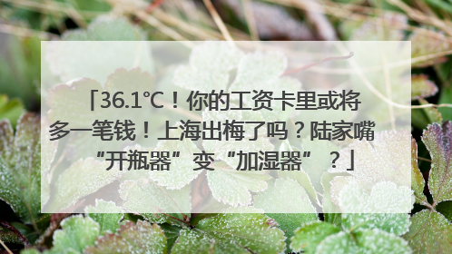 36.1℃！你的工资卡里或将多一笔钱！上海出梅了吗？陆家嘴“开瓶器”变“加湿器”？
