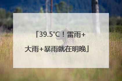 39.5℃！雷雨+大雨+暴雨就在明晚