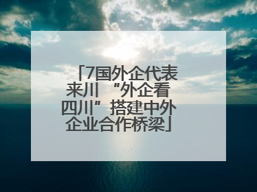 7国外企代表来川 “外企看四川”搭建中外企业合作桥梁