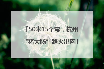 50米15个弯，杭州“猪大肠”路火出圈