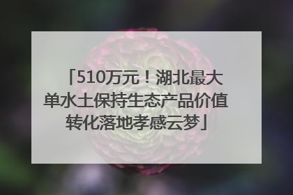 510万元！湖北最大单水土保持生态产品价值转化落地孝感云梦
