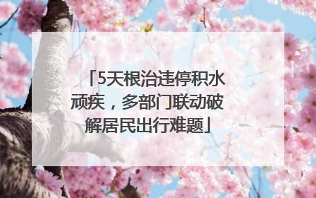 5天根治违停积水顽疾，多部门联动破解居民出行难题