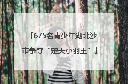 675名青少年湖北沙市争夺“楚天小羽王”