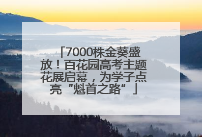 7000株金葵盛放！百花园高考主题花展启幕，为学子点亮“魁首之路”