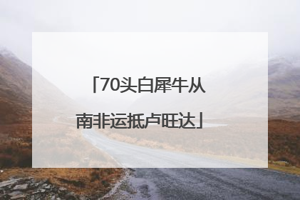 70头白犀牛从南非运抵卢旺达