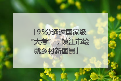 95分通过国家级“大考”，镇江市绘就乡村新图景
