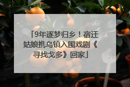 9年逐梦归乡！宿迁姑娘携乌镇入围戏剧《寻找戈多》回家