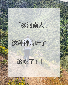 @河南人，这种神奇叶子该吃了！