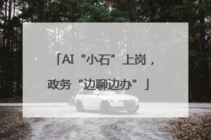 AI“小石”上岗，政务“边聊边办”