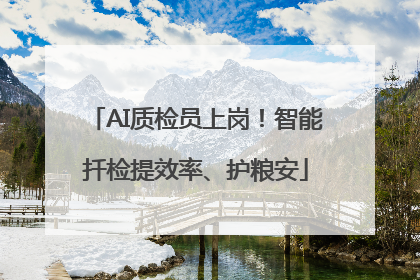 AI质检员上岗！智能扦检提效率、护粮安
