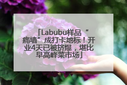 Labubu样品“痛墙”成打卡地标！开业4天已被挤爆，堪比早高峰菜市场